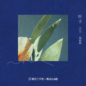 大鸡巴操骚货免费视频
