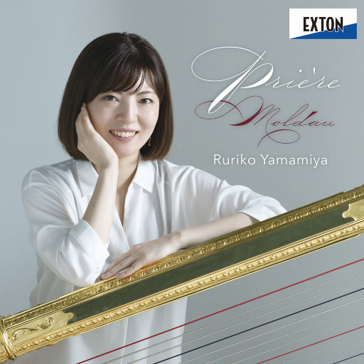 大鸡巴操骚货免费视频
